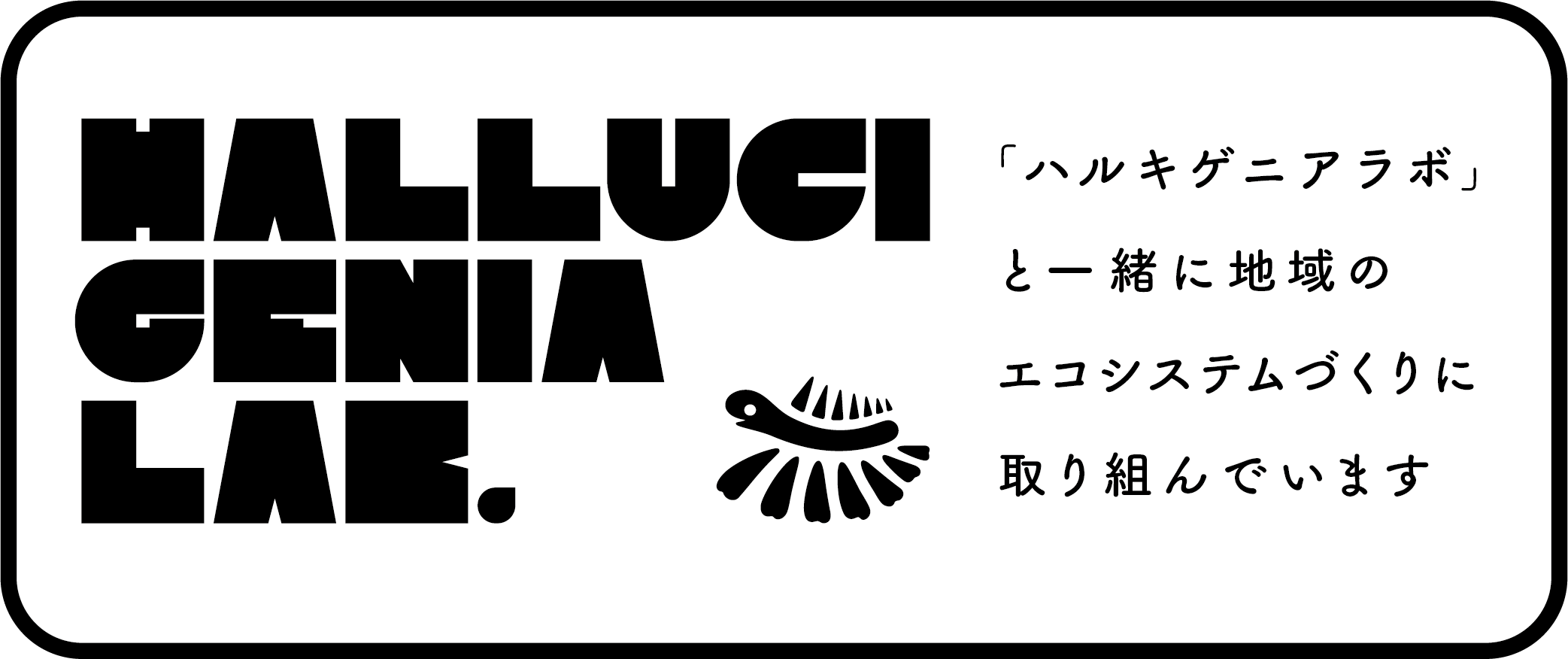 「ハルキゲニアラボ」と一緒に地域のエコシステムづくりに取り組んでいます